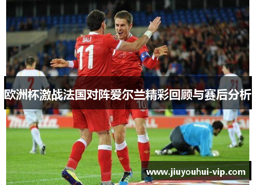 欧洲杯激战法国对阵爱尔兰精彩回顾与赛后分析